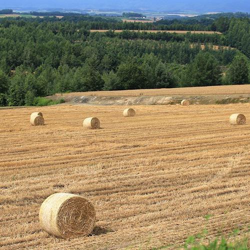 北海道美瑛産<br />ラ･テールオリジナル小麦粉