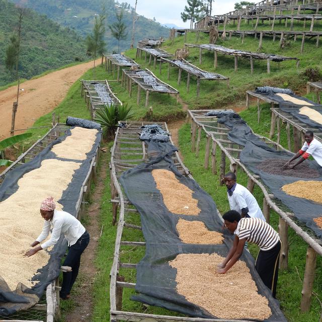 オリジナルブレンドコーヒー